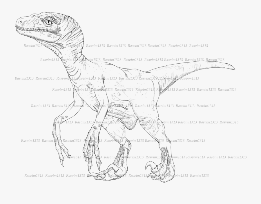 Dinosaur Drawing Realistic - Sketch, Transparent Clipart