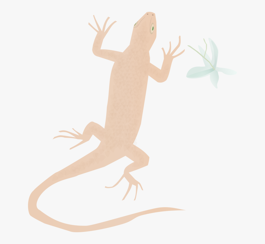 Gecko, Transparent Clipart