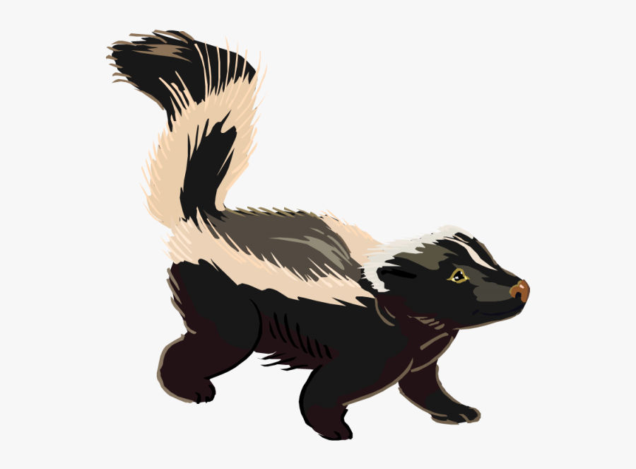 Skunk Clipart 5 Nice Clip Art - Skunk Clip Art, Transparent Clipart