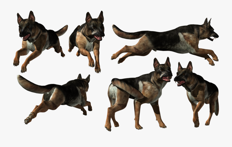 German Shepherd Png - Old German Shepherd Dog, Transparent Clipart