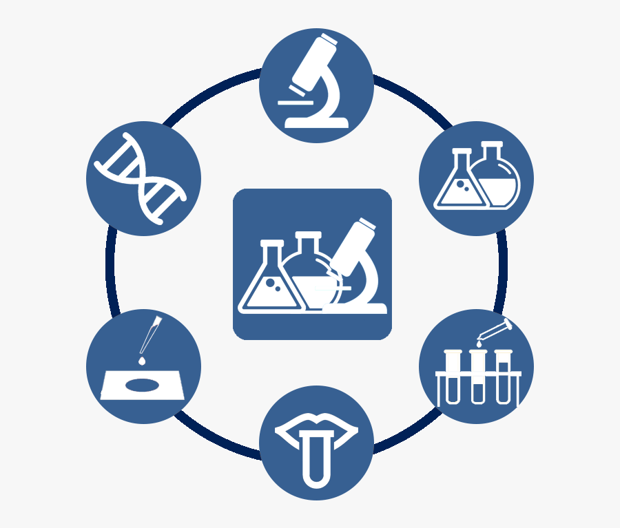 Management Consulting Example Presentation, Transparent Clipart