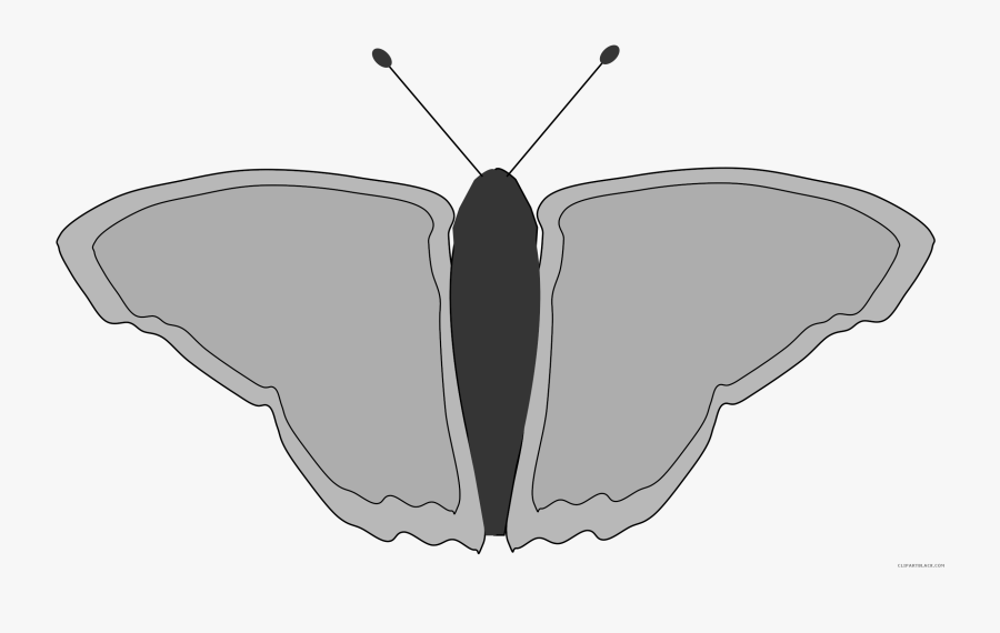 Butterfly Animal Free Black White Clipart Images Clipartblack - Brush-footed Butterfly, Transparent Clipart