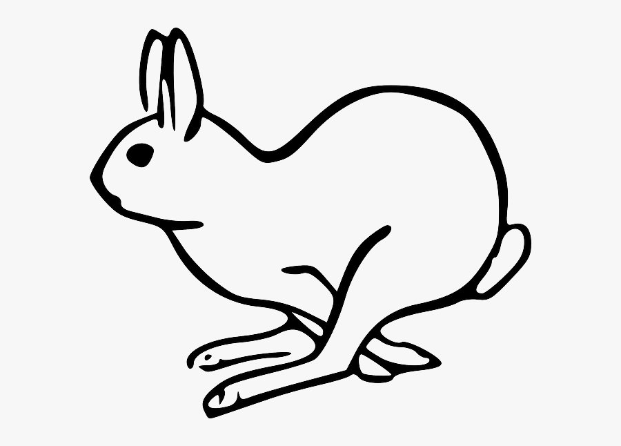 Jack Rabbit Clipart Arctic Hare On Pixabay Hare On - Rabbit Clip Art, Transparent Clipart