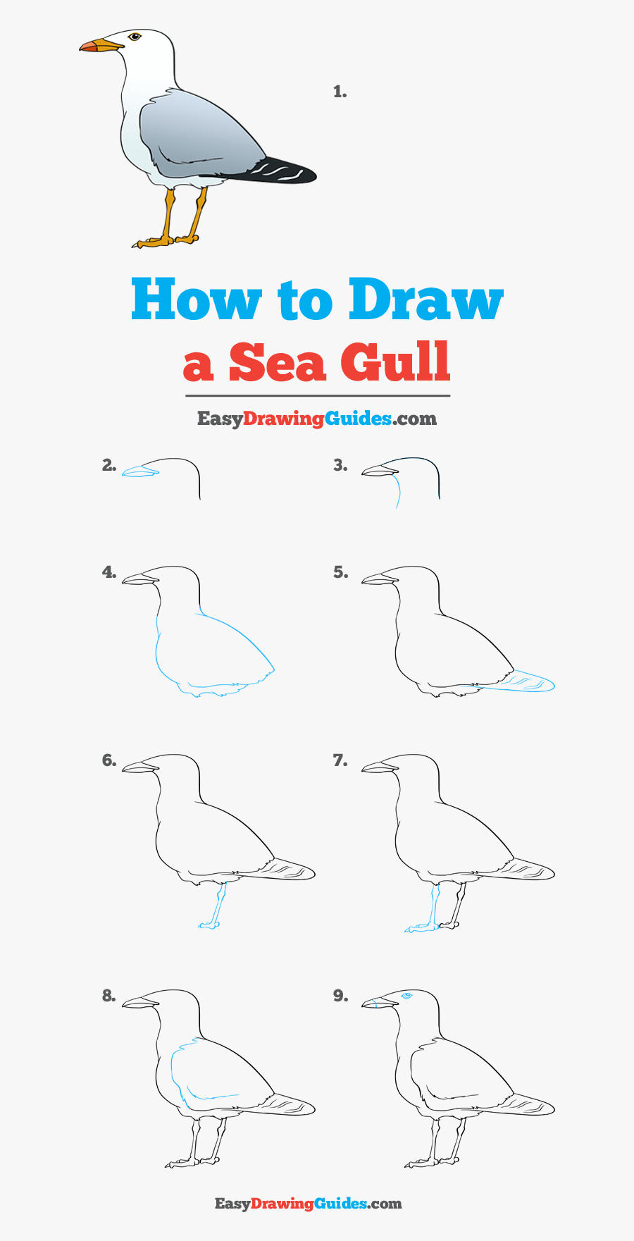 How To Draw Seagull - Easy Step How To Draw A Seagull, Transparent Clipart