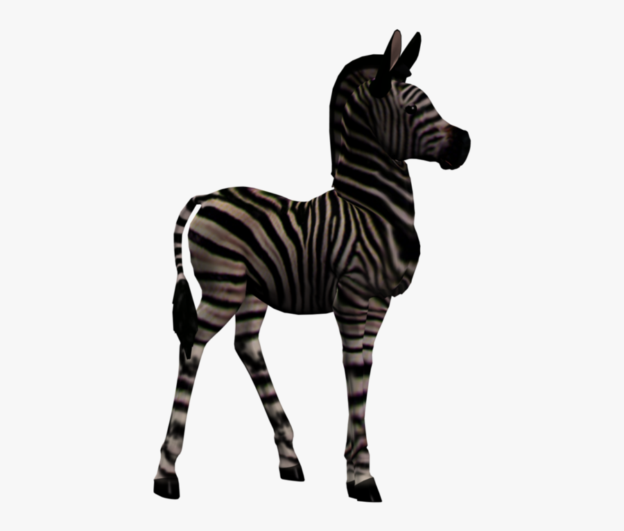Zebra Foal 1 Png Stock By Direwrath Pluspng - Okapi, Transparent Clipart