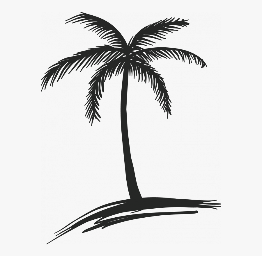 325 3257964 Transparent Coconut Clipart Black And White Coconut Tree 