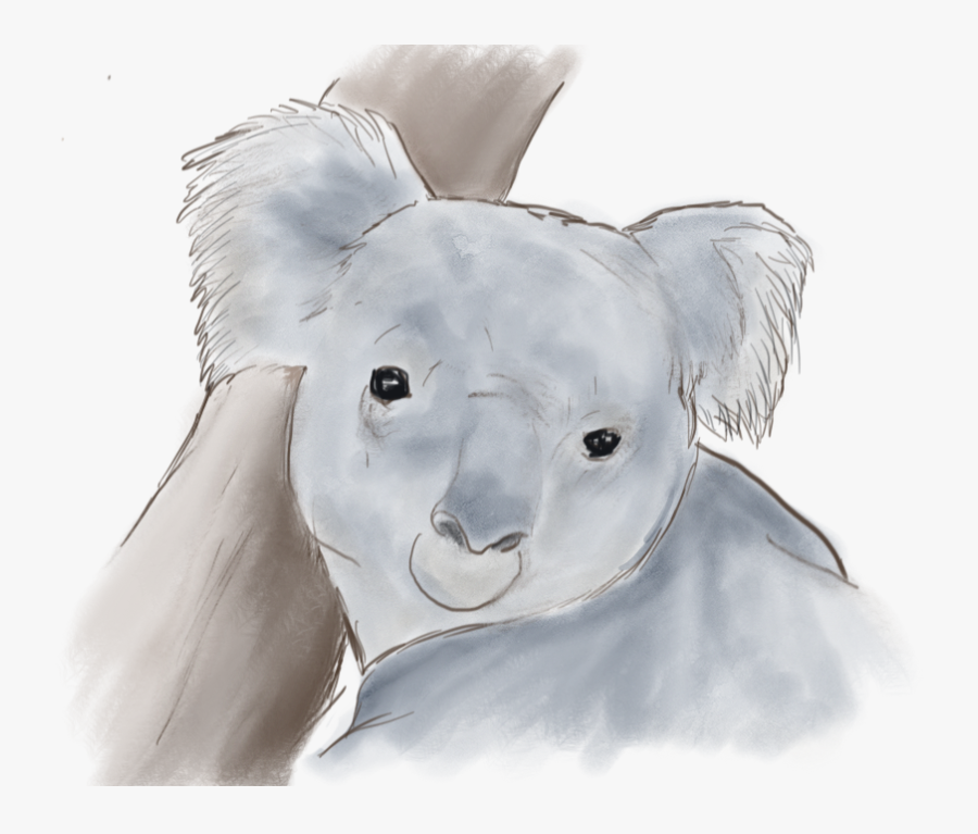Transparent Koala Clipart - African Elephant, Transparent Clipart
