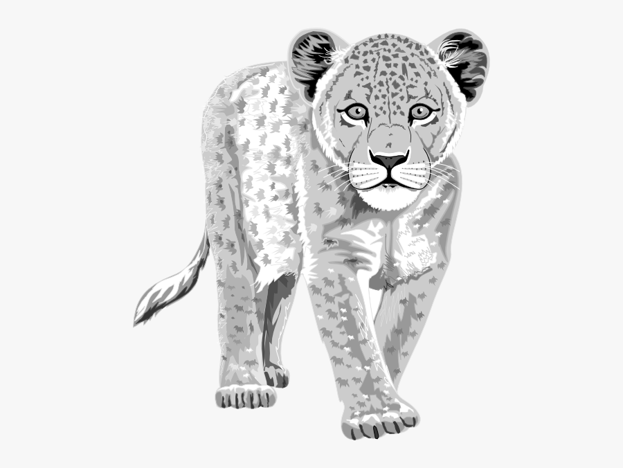 Leopard Svg Clip Arts - Leopard Got His Spots Worksheet, Transparent Clipart