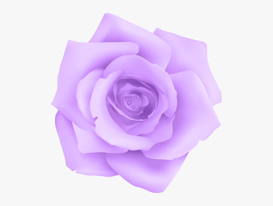 Transparent Rose Clipart - Violet Colored Roses, Transparent Clipart