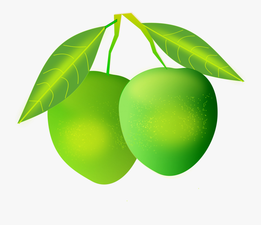 Mango Clipart Png Image - Green Mango Clipart, Transparent Clipart