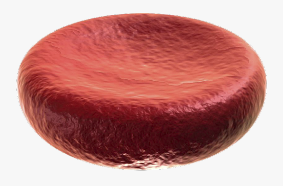 Transparent White Blood Cell Clipart - Dna Red Blood Cell, Transparent Clipart