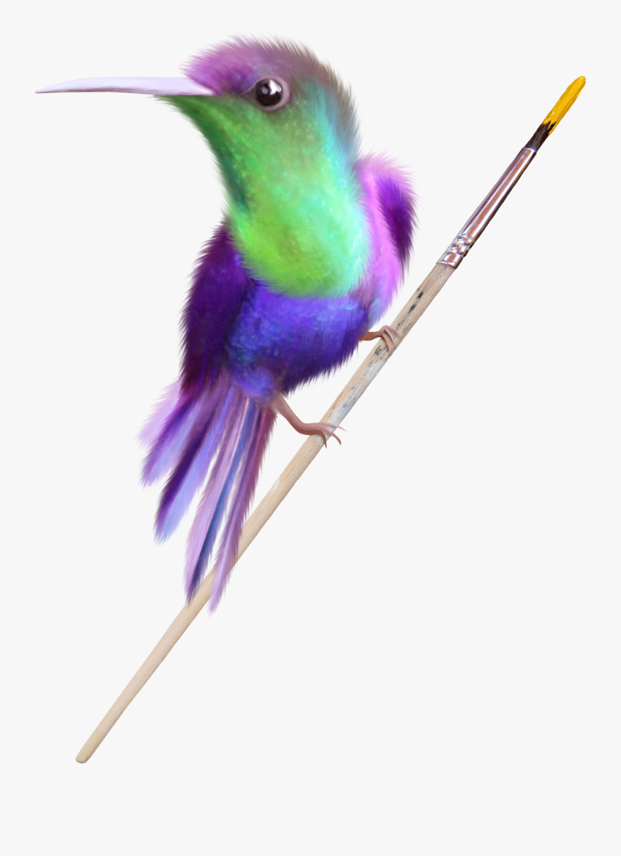 Beauty Hummingbird Free Clip Art - Coraciiformes, Transparent Clipart