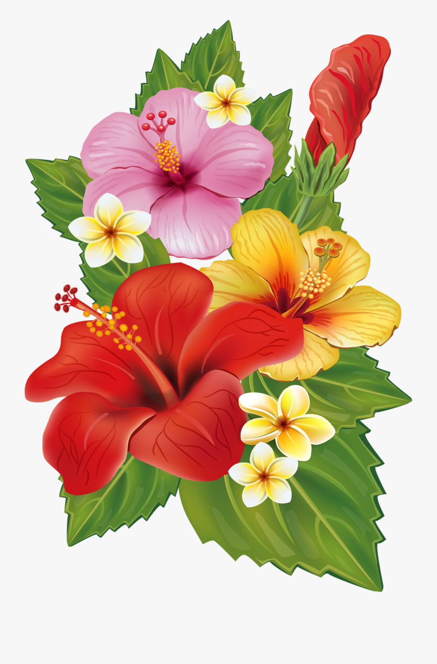 Vector Free Hummingbird Clipart Hibiscus - Tropical Flowers Transparent Background, Transparent Clipart