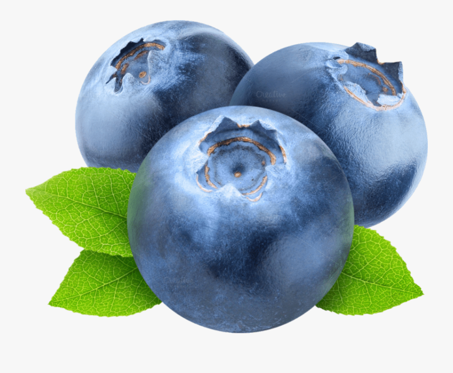 Free Png Blueberries Png Images Transparent - Blueberry Png Clipart, Transparent Clipart