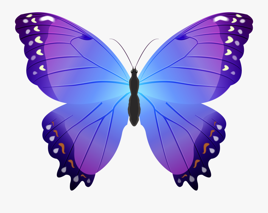 Butterfly Violet Png , Free Transparent Clipart - ClipartKey