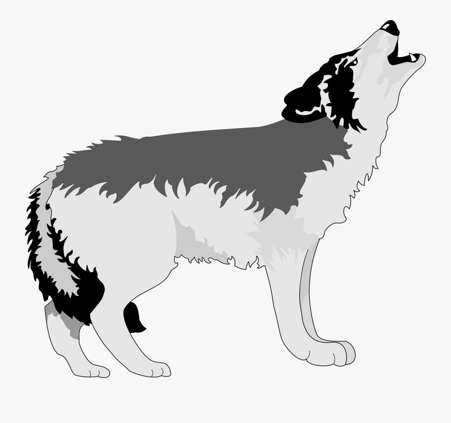 Gray Wolf Aullido Drawing Clip Art - Howling Clipart , Free Transparent ...