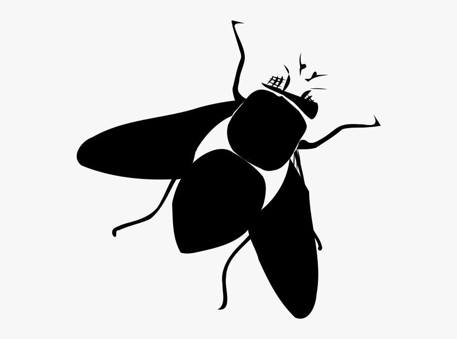 Membrane-winged Insect, Transparent Clipart