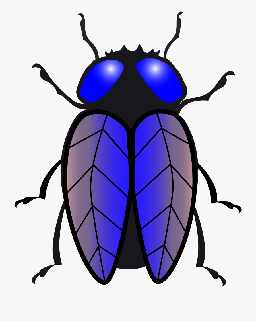 Transparent House Fly Clipart - Transparent Bug Clipart, Transparent Clipart