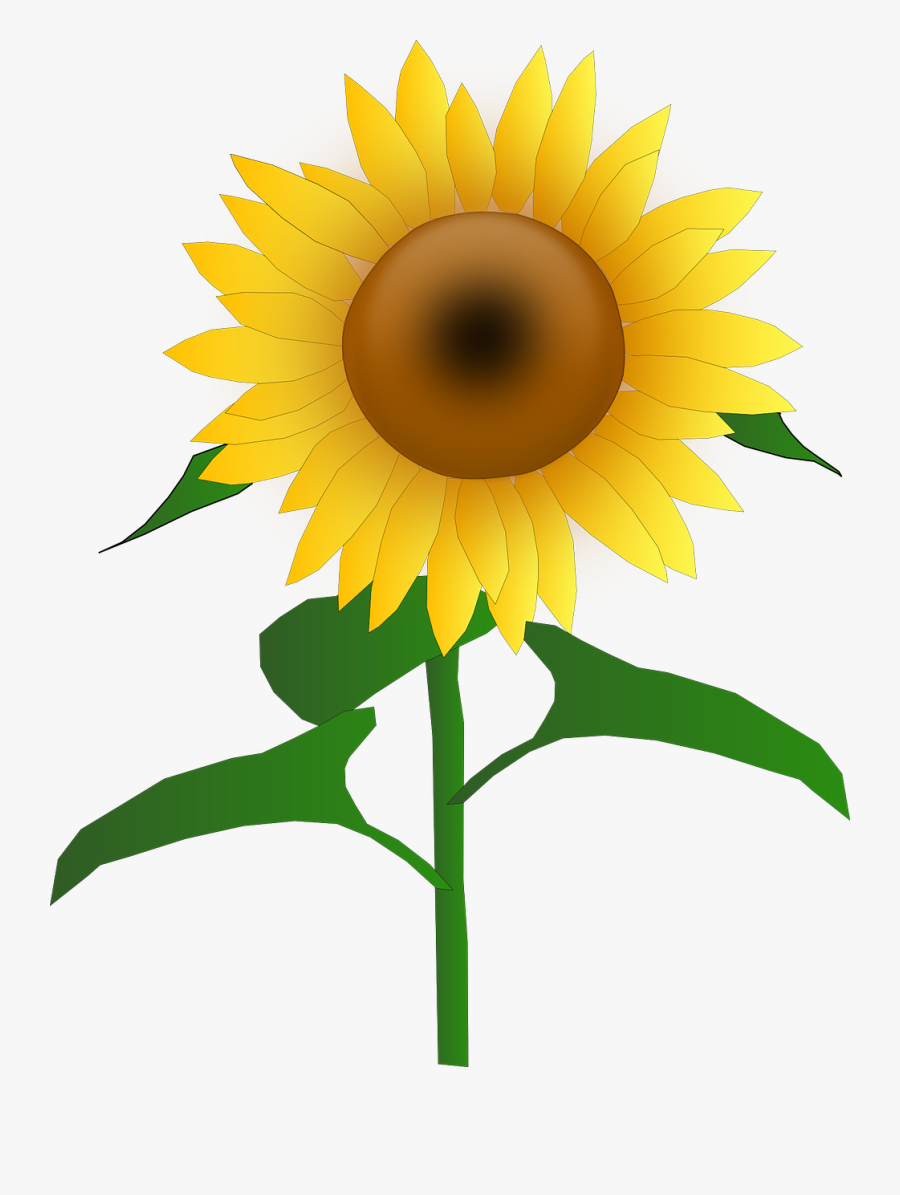 Blooms Blossom Golden Yellow - Sun Flower Clipart, Transparent Clipart