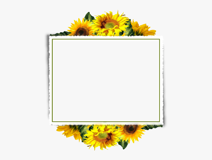 Sunflower Border Clipart, Transparent Clipart