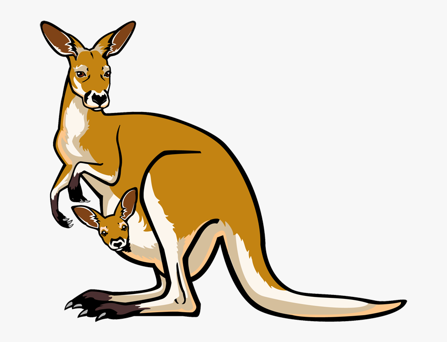 Clip Art Kangaroo, Transparent Clipart