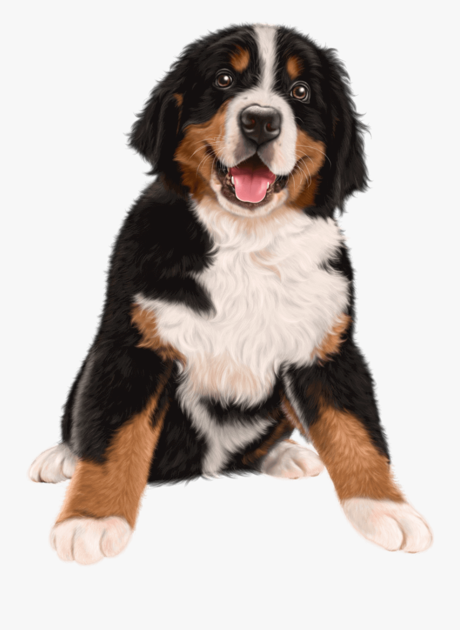 Bernese Mountain Dog German Shepherd Puppy Golden Retriever - Bernese Mountain Dog Png, Transparent Clipart