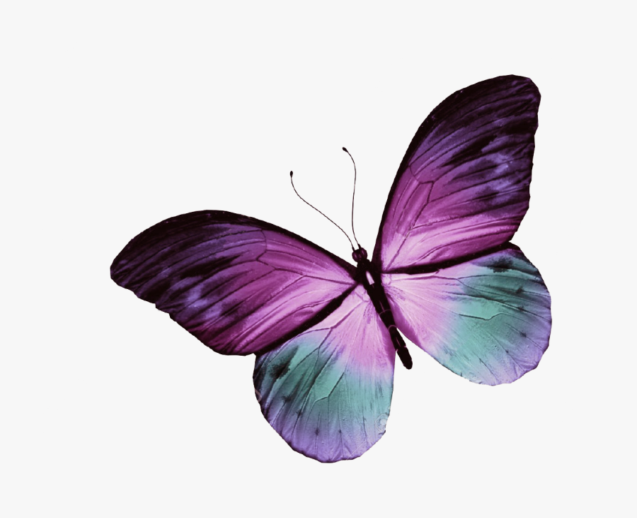 Purple Butterfly Tattoo Design, Transparent Clipart