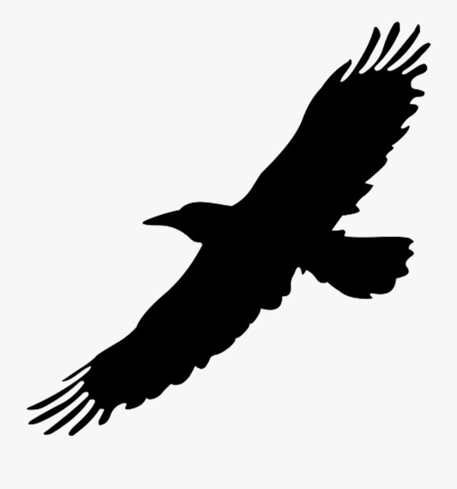 Big Bird Flight Crows Clip Art - Flying Bird Silhouette Clipart, Transparent Clipart