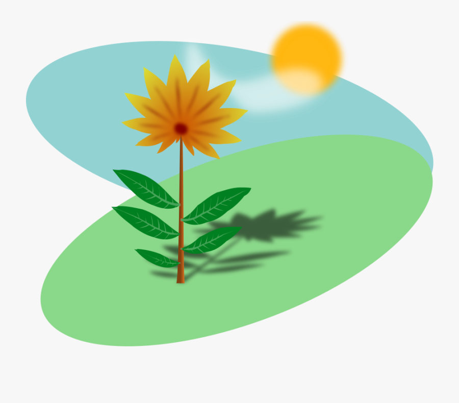 Sunny Field With A Flower - Sun And Flower Cartoon, Transparent Clipart