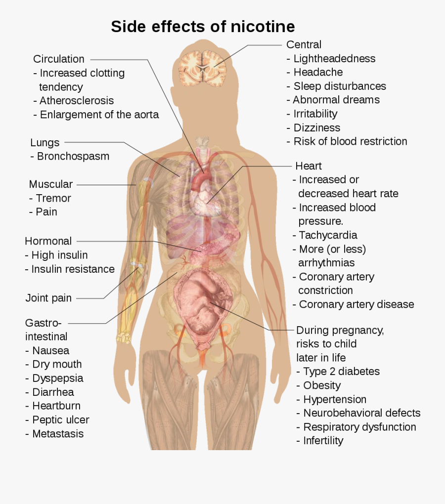 Nicotine Effects, Transparent Clipart