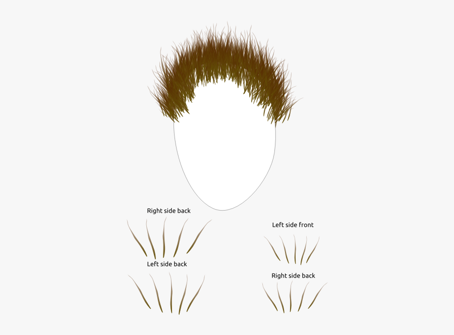 Image Of Man"s Face Shape With Hair Parts - Clip Art, Transparent Clipart