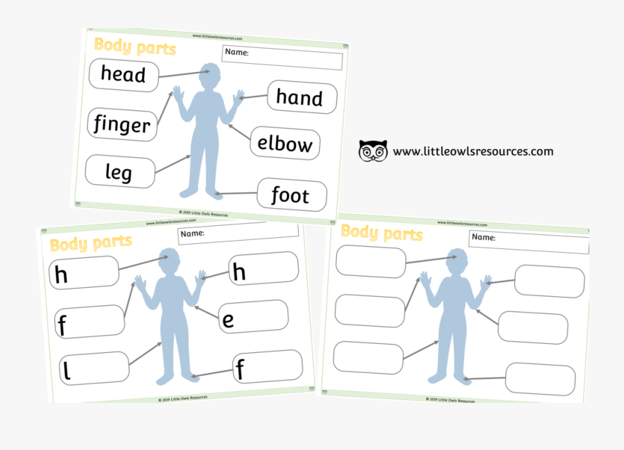 Body Parts Posters Cover, Transparent Clipart
