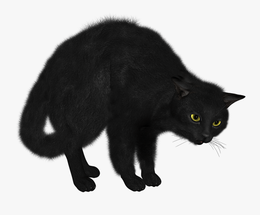 Black Cat Looking - Transparent Background Black Cat Png, Transparent Clipart