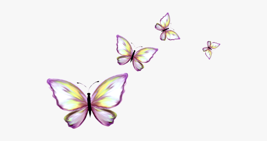 Butterfly Border No Background, Transparent Clipart