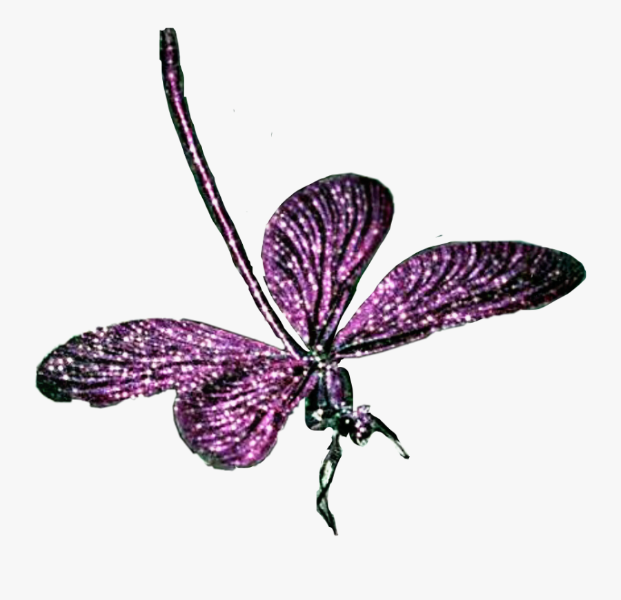 Transparent Purple Dragonfly Clipart - Brush-footed Butterfly, Transparent Clipart