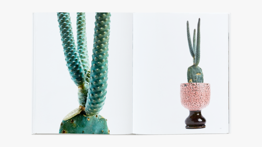 Floral Clipart Cactus - Cactus, Transparent Clipart
