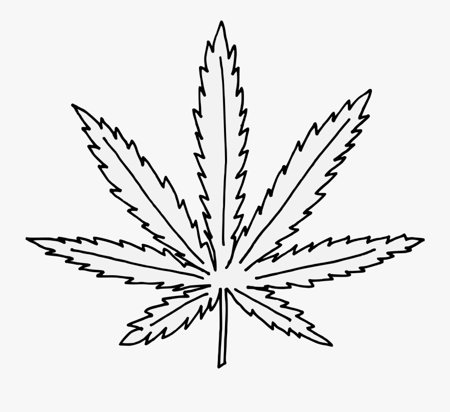 Hemp - Drawing, Transparent Clipart