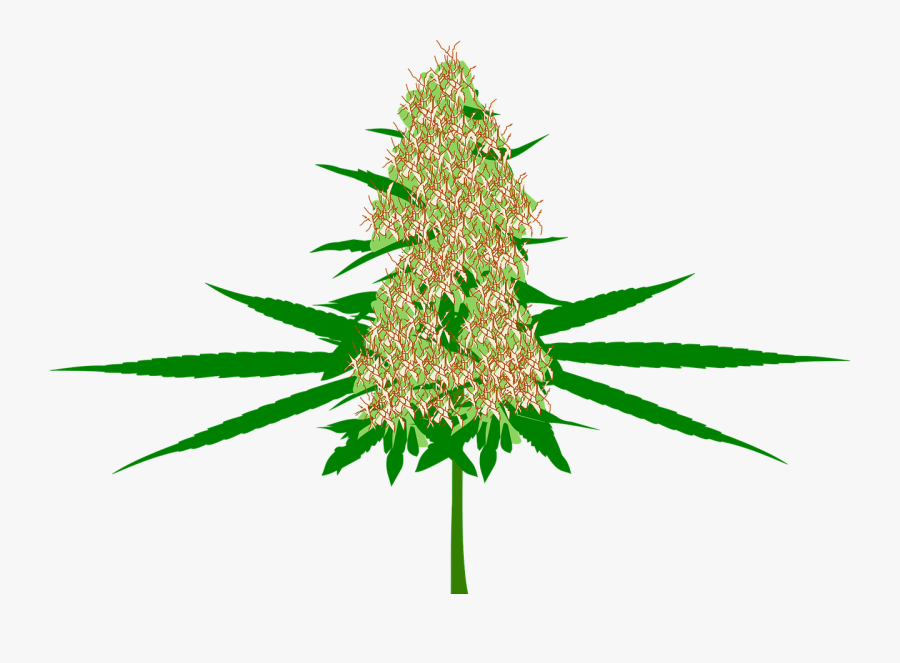 Cannabis Bud Marijuana Free Photo - Weed Bud Png Cartoon, Transparent Clipart