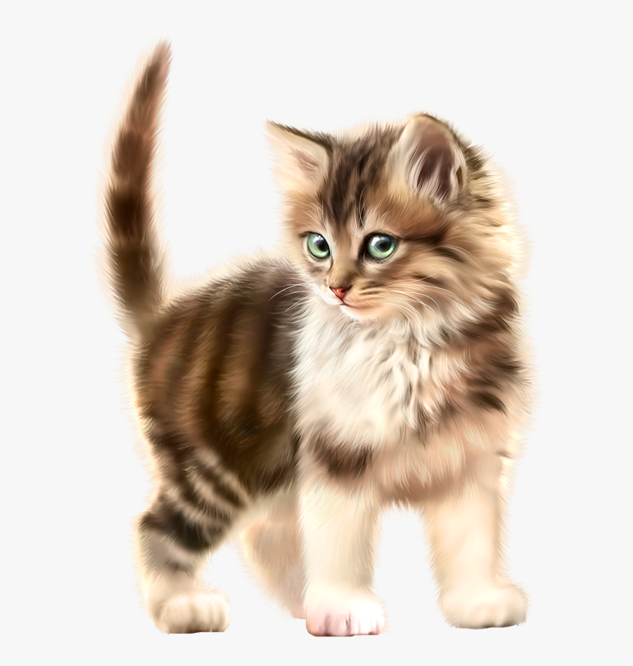 Kitten, Transparent Clipart