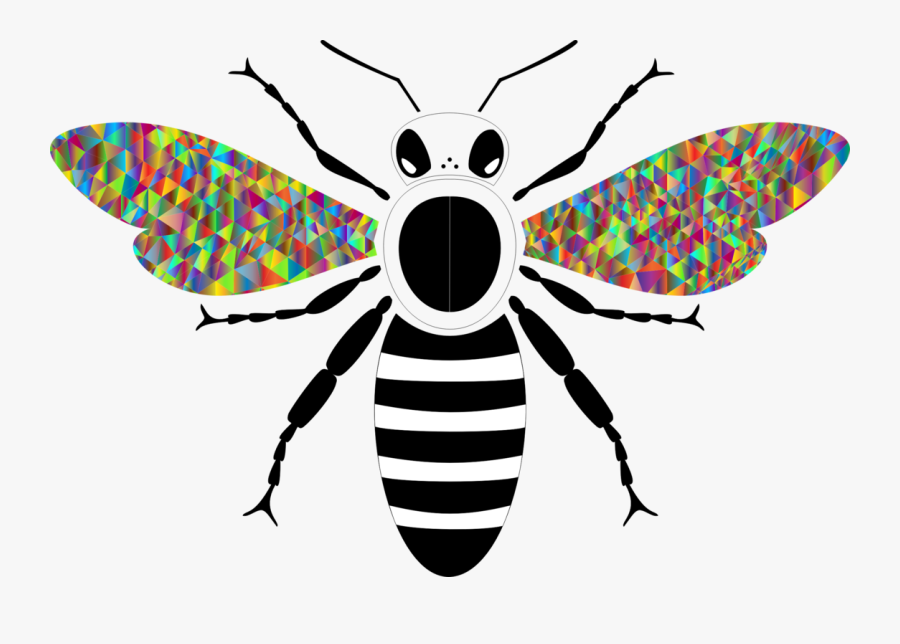 Fly,symmetry,organism - Big Bee Clip Art Black And White, Transparent Clipart