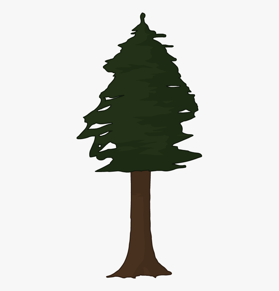 Trees Transparent Redwood - Spruce, Transparent Clipart
