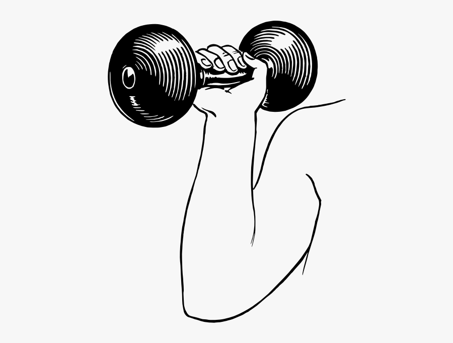 Dumbbell Drawing Weight Training Free Transparent Clipart Clipartkey