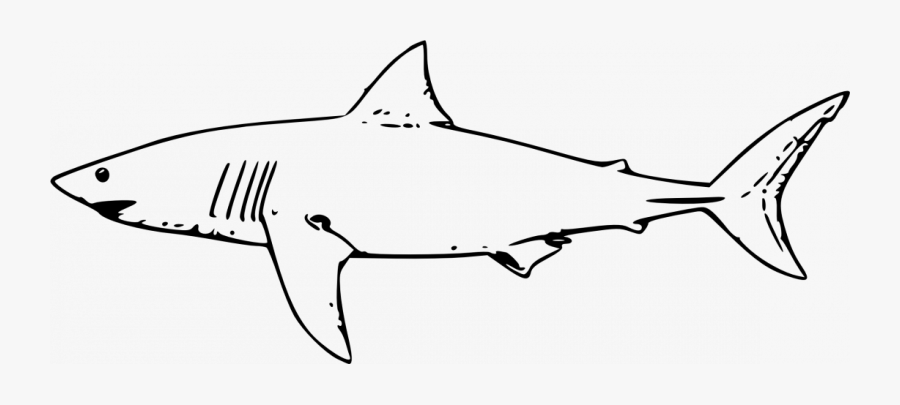 Great White Shark Clip Art, Transparent Clipart