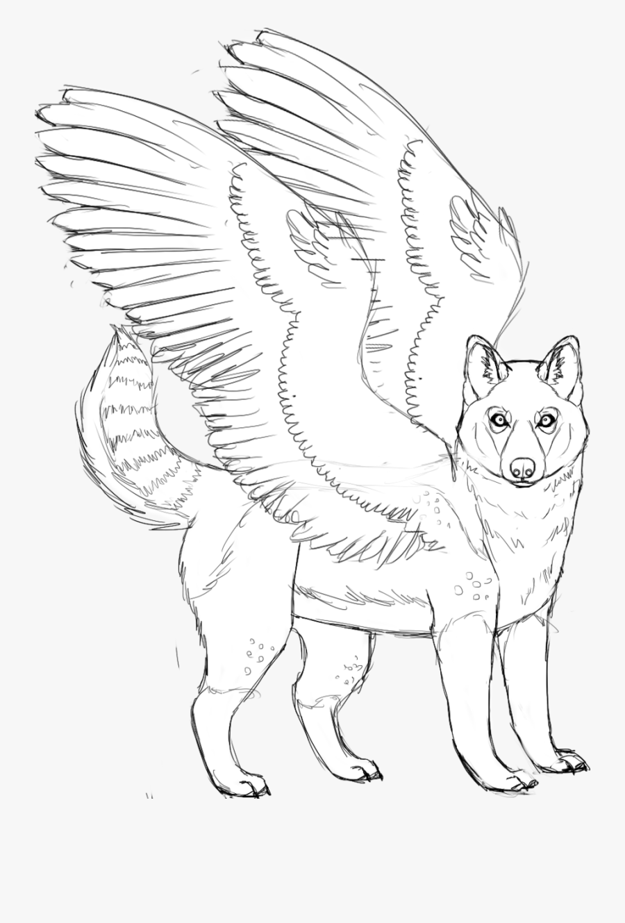 Husky Coloring Pages - Cute Husky Puppy Coloring Pages, Transparent Clipart