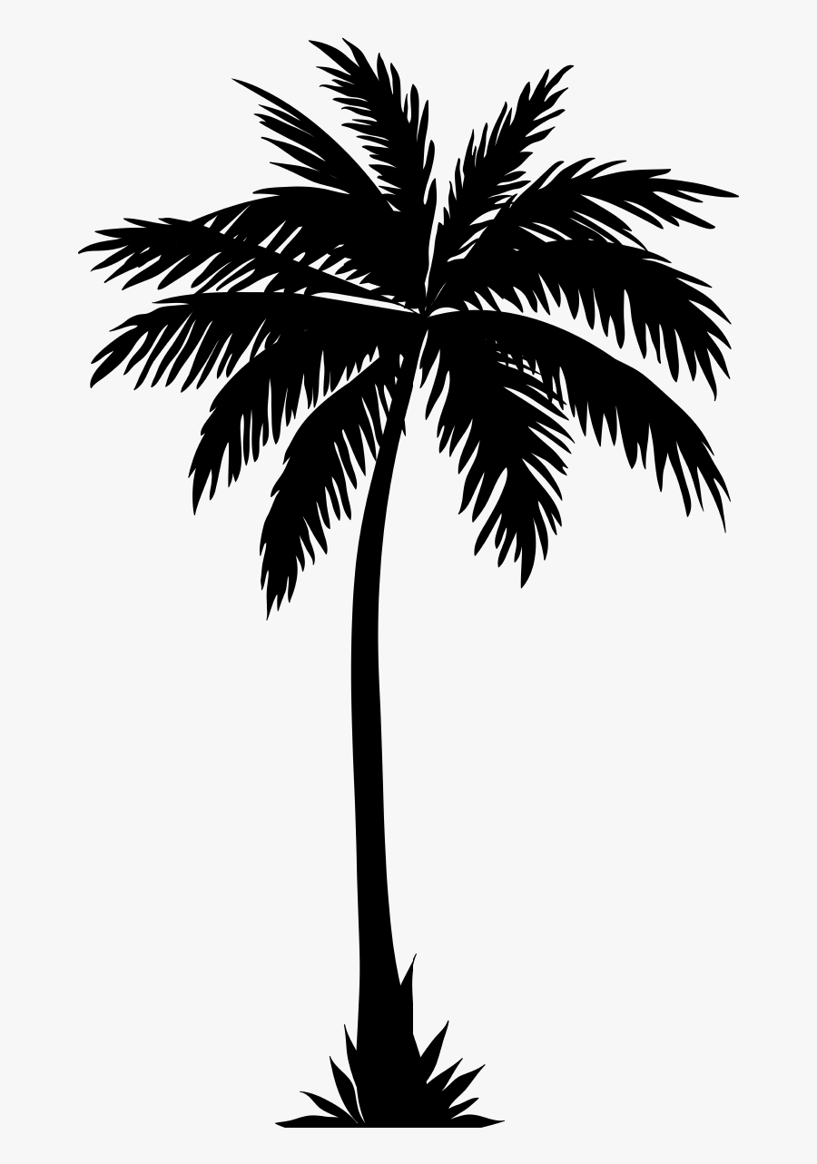 Transparent Background Palm Tree Silhouette, Transparent Clipart