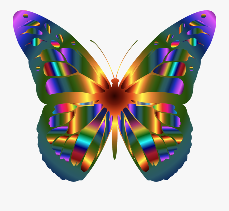 Real Rainbow Monarch Butterfly, Transparent Clipart