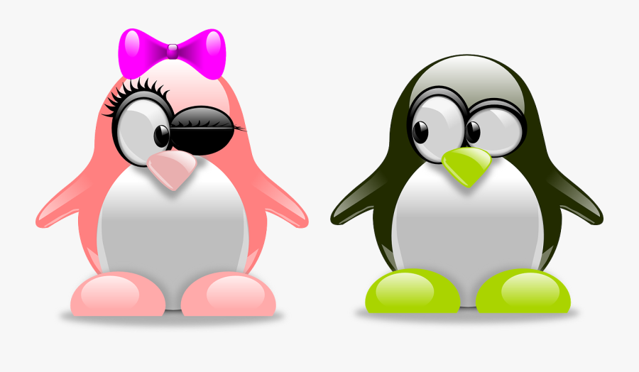 Penguins-157418 - Gadha I Love You, Transparent Clipart