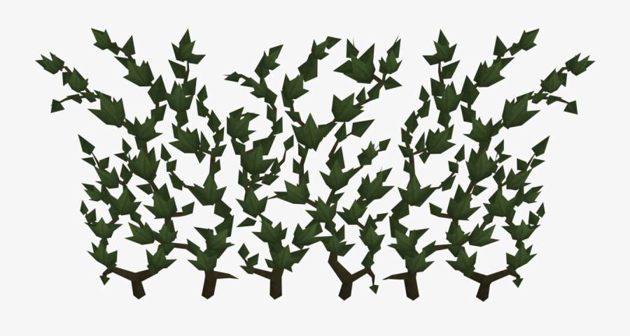Runescape Ivy, Transparent Clipart