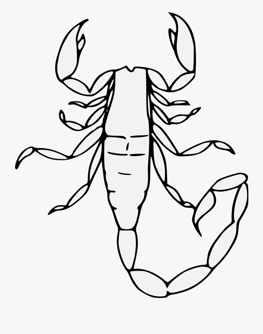 Transparent Scorpion Clipart - Line Art, Transparent Clipart