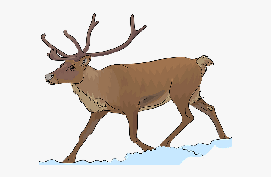 Clipart Reindeer, Transparent Clipart